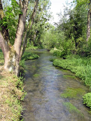River