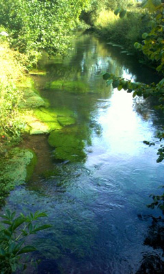 River