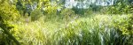 Nature Reserve